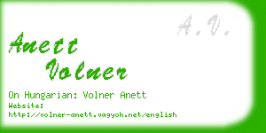 anett volner business card